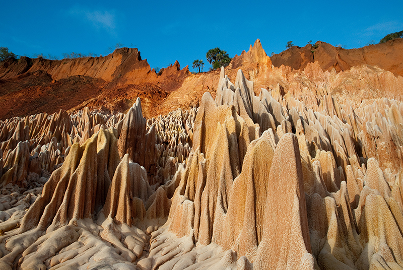 les twinges rouge au nord de Madagascar