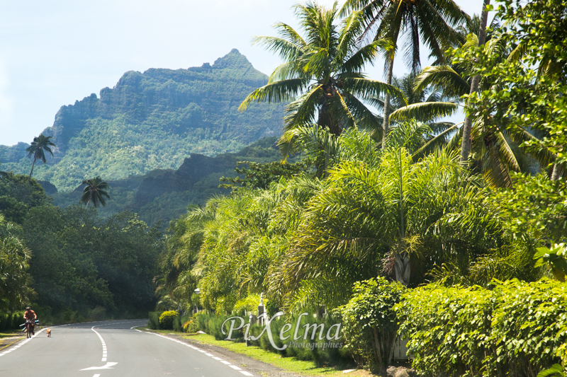 5 activités ne pas manquer à Moorea