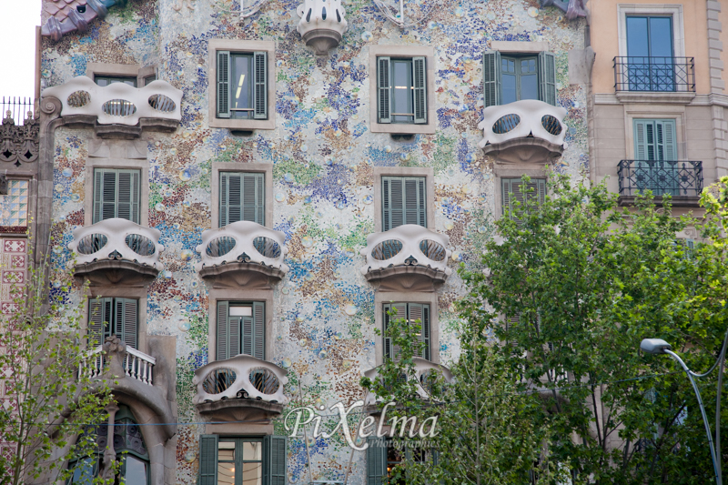 Casa batlo barcelone