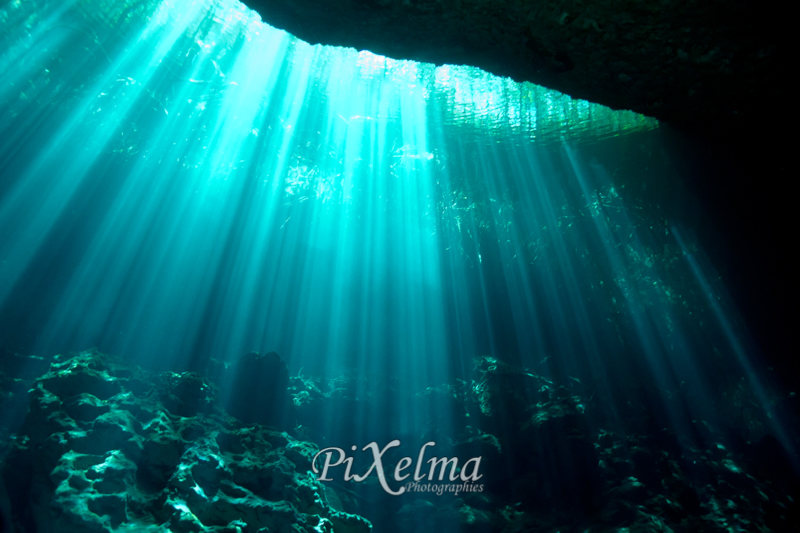 Dos Ojos : Plonger en Cenotes