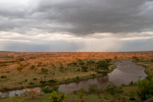 Une ambiance de fin de journée à la fois ensoleillée et avec une menace d'orage arrivant du Kenya, à seulement quelques kilomètres de notre lodge surplombant la rivière Mara en Tanzanie.