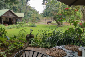 Lodge de charme à proximité d'Arusha, Tanzanie.
