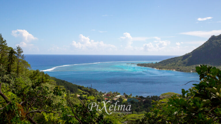 montagne-magique-moorea-0560