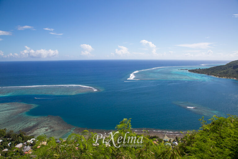 montagne-magique-moorea-0584
